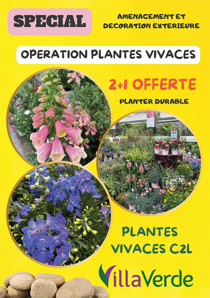 villaverde-1106266