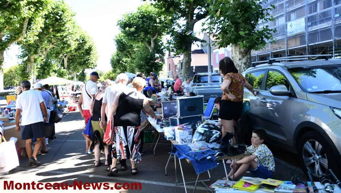 bouquinerie-0607262