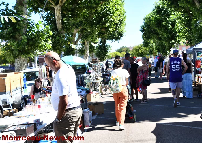 bouquinerie-0607263