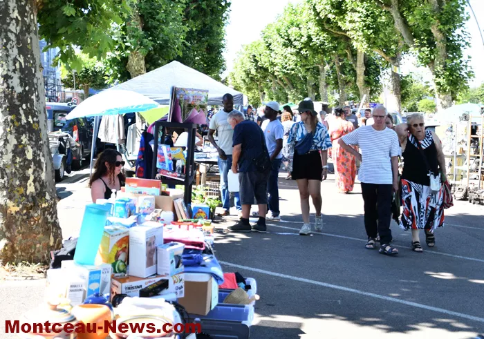 bouquinerie-0607265