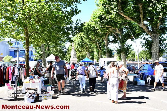 bouquinerie-0607268