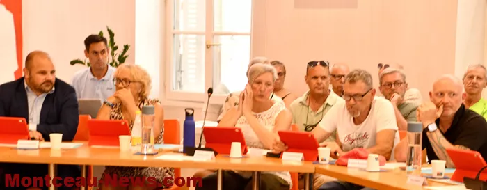 conseil-montceau-08072611