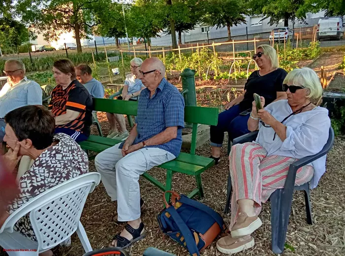 jardin-vert-noix-1107264