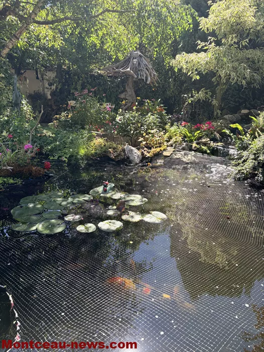 maison fleuris-090726100