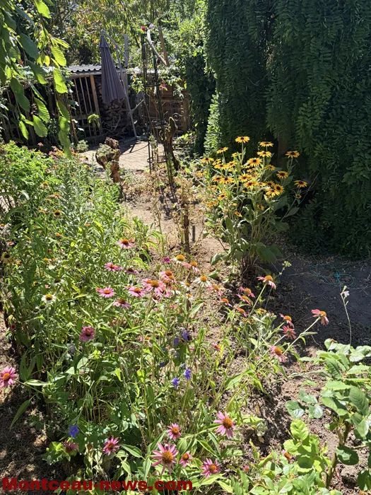maison fleuris-090726110