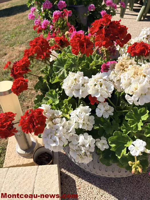 maison fleuris-09072620