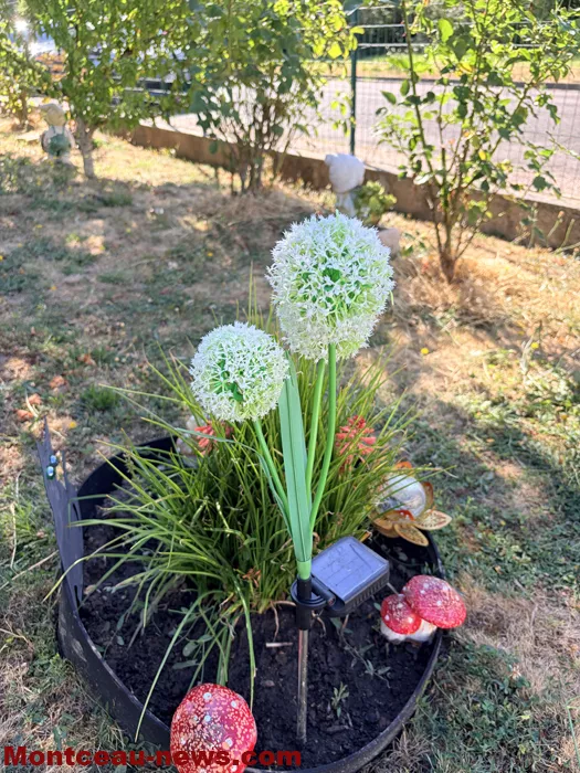 maison fleuris-09072643