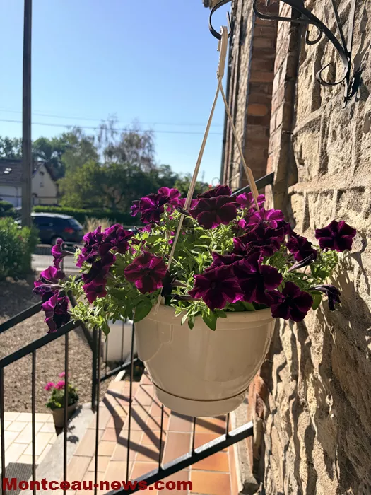 maison fleuris-0907265