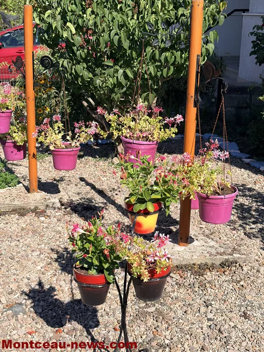 maison fleuris-09072655