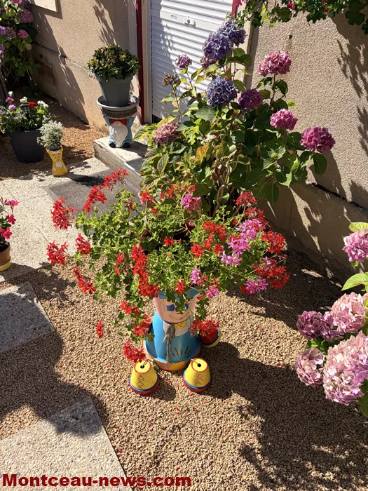 maison fleuris-09072662