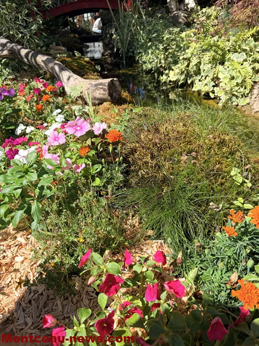 maison fleuris-09072696