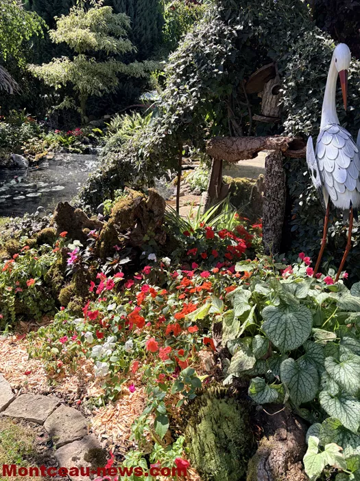 maison fleuris-09072697