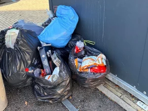 poubelles-10072632