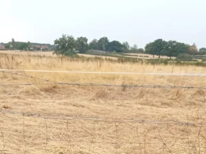 pouilloux-3007262
