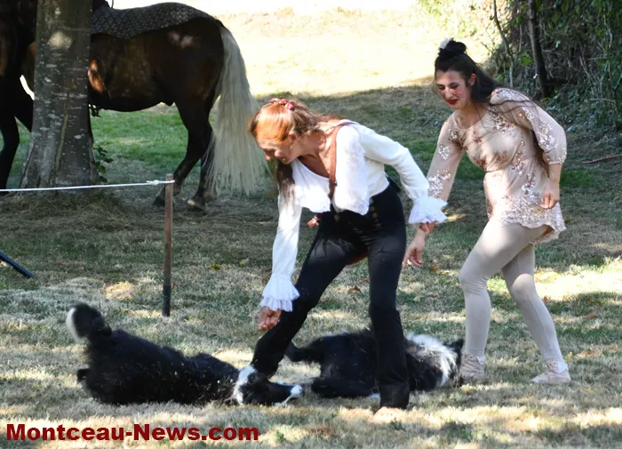 queulot-folie-05072656