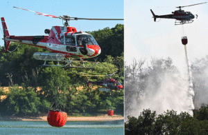 Agriculture, sécheresse, incendies