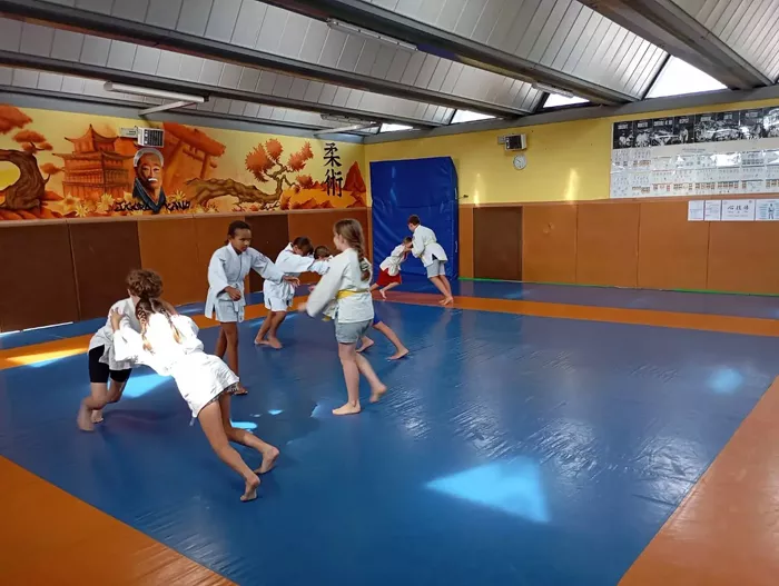 ad-judo-2008262