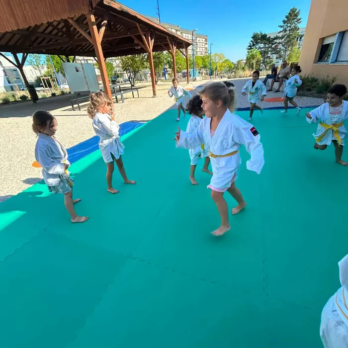 ad-judo-2008264