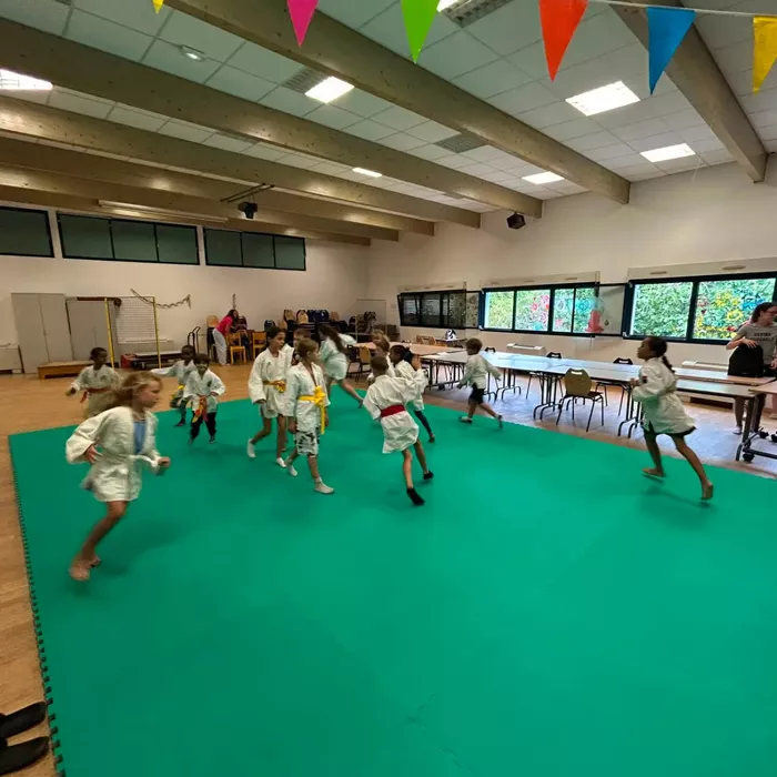 ad-judo-2008265