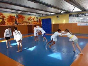 ad-judo-2008266