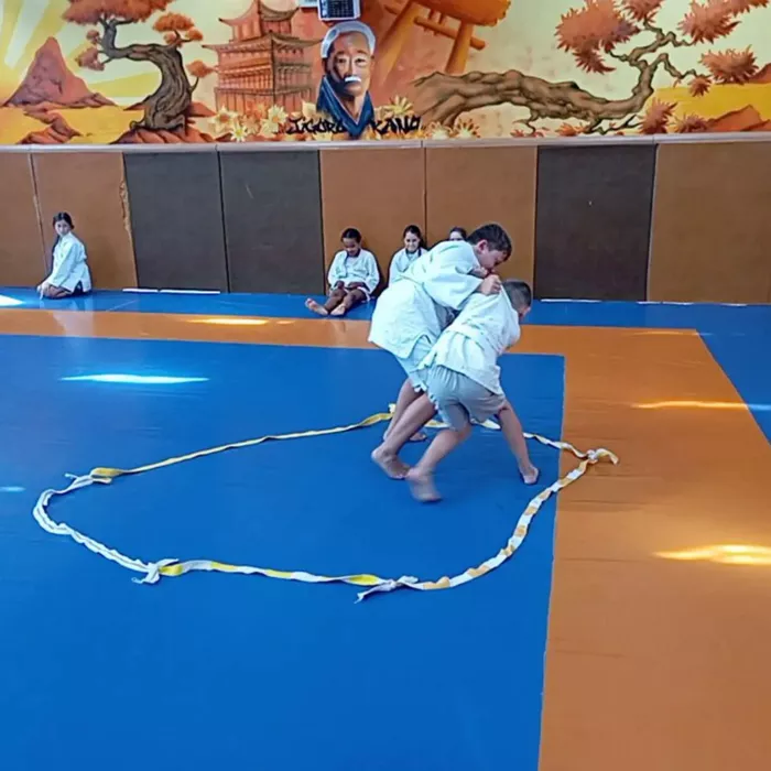 ad-judo-2008267