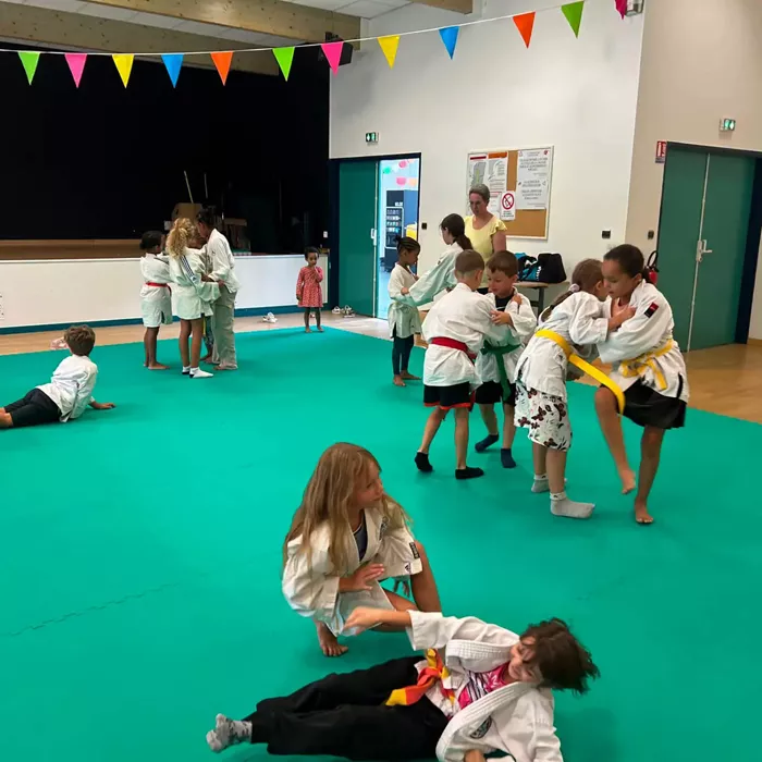 ad-judo-2008268