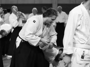 aikido-2608261