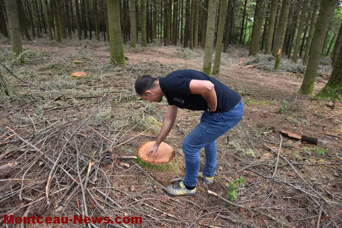 bois-forets-21082611