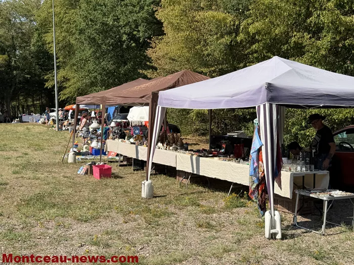 ciry-vide-grenier-16082613