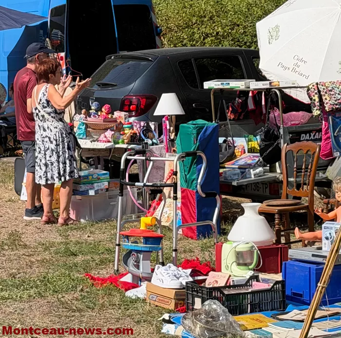 ciry-vide-grenier-16082614