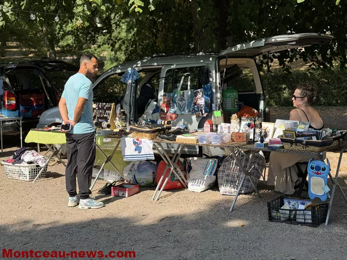 ciry-vide-grenier-1608262