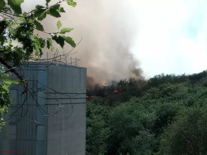 Faits Divers : Le Creusot