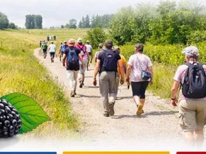 marche-murons-2908262
