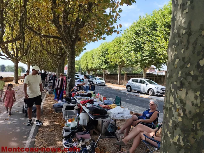 pcf-vide-grenier-17082615