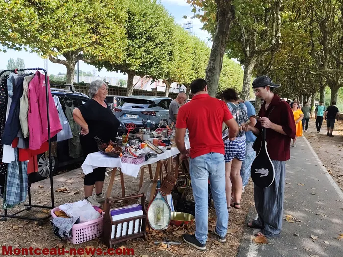 pcf-vide-grenier-17082636