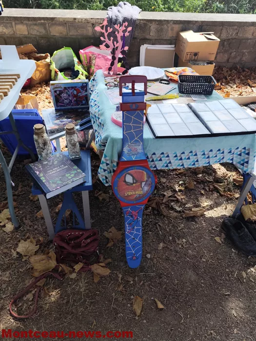 pcf-vide-grenier-17082641