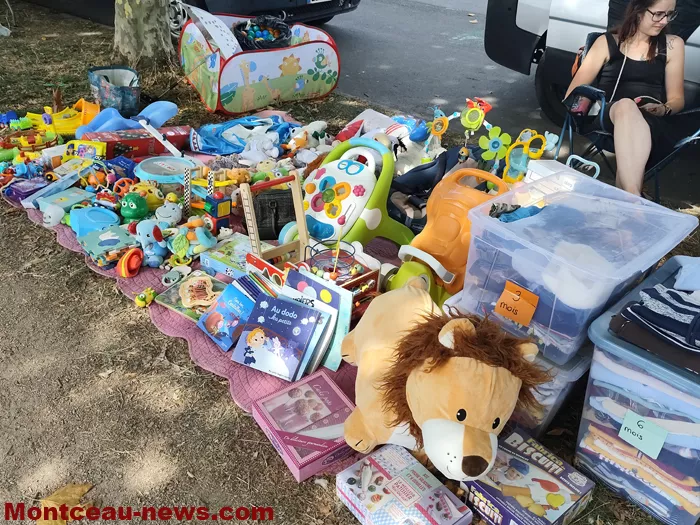 pcf-vide-grenier-17082645
