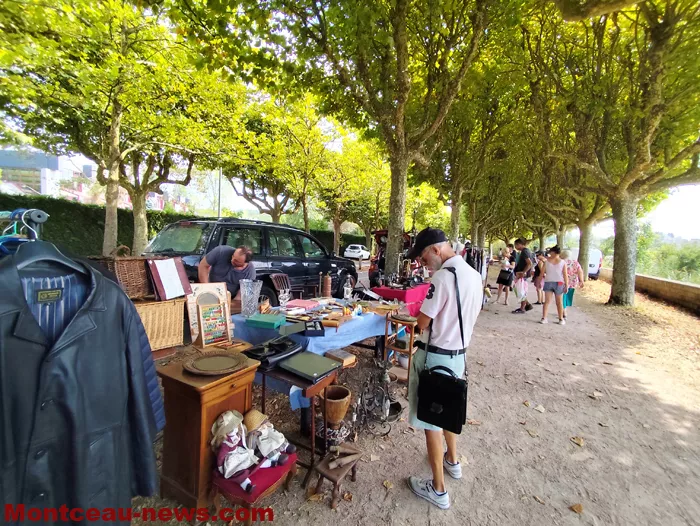 pcf-vide-grenier-17082651