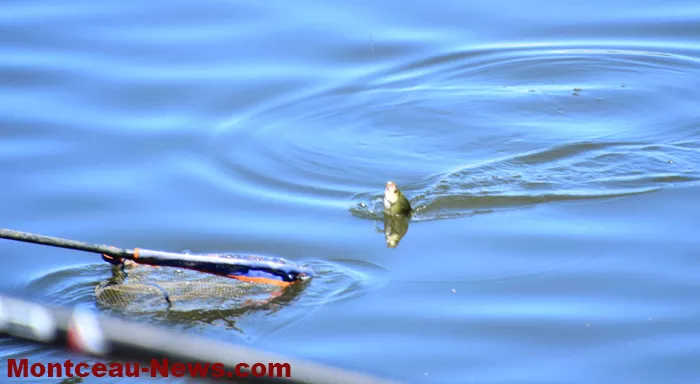 peche-vendredi-08082632