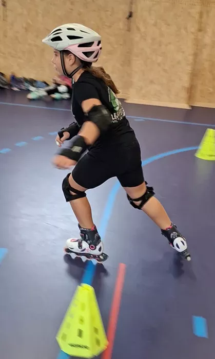 roller-blanzy-2808261