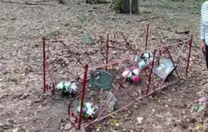 Perrecy-les-Forges : La tombe de l’Homme mort, une légende qui revit