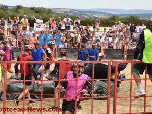 vachette-mary-10082643