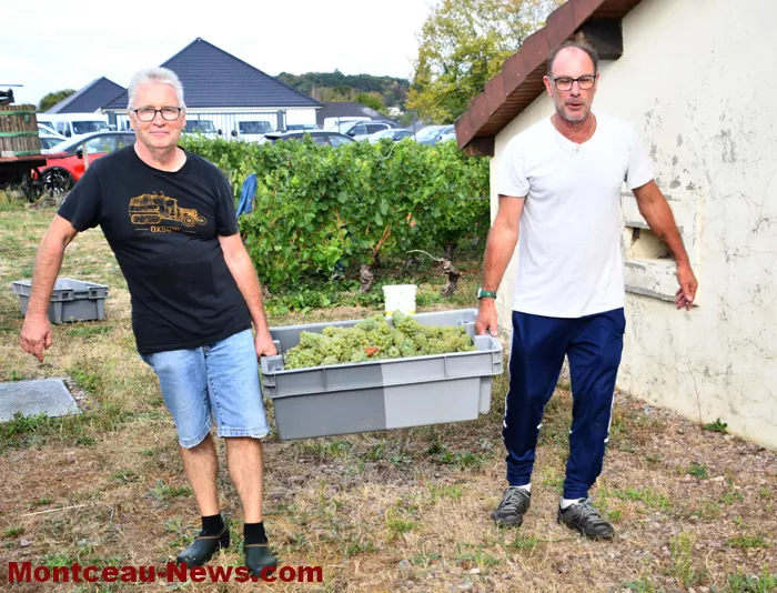 vendanges-sanvignes-31082613