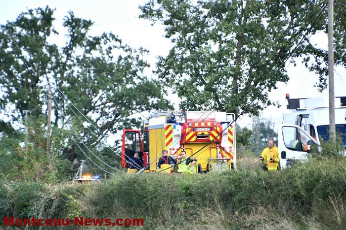 accident-0909263