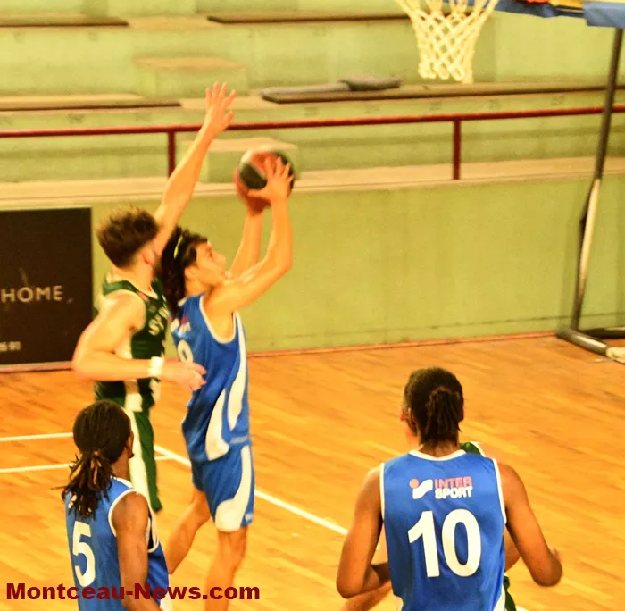 basket-montceau-14092619