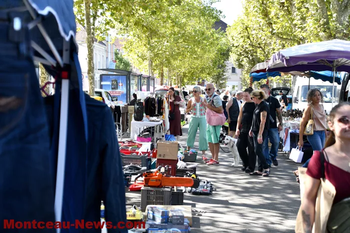 broc-bouquinerie-08092613