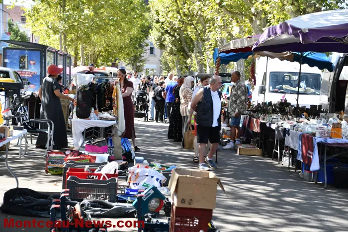 broc-bouquinerie-08092614