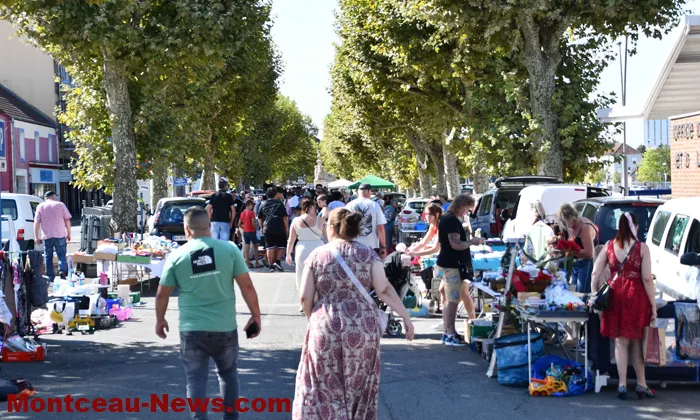 broc-bouquinerie-08092624