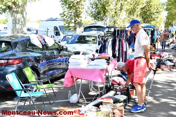 broc-bouquinerie-0809264