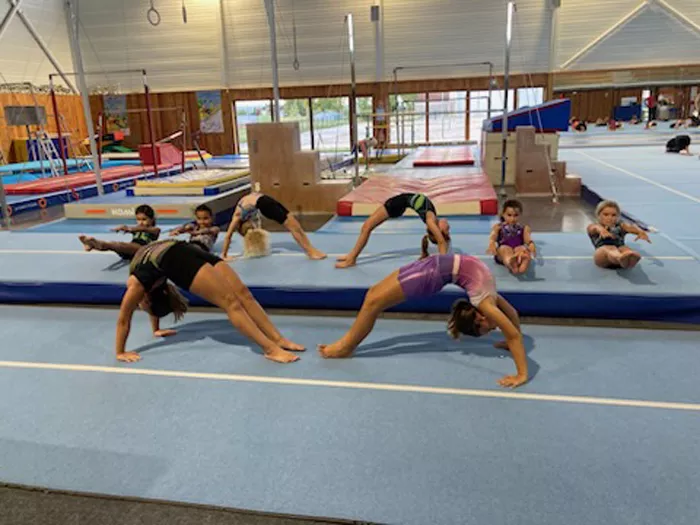 csl-gym-0209264